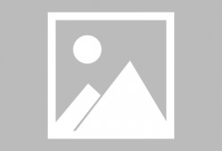 金圣恩最新爆料图片大全,图片大全揭秘幕后真相